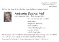 eine Anzeige