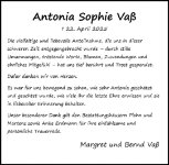 eine Anzeige