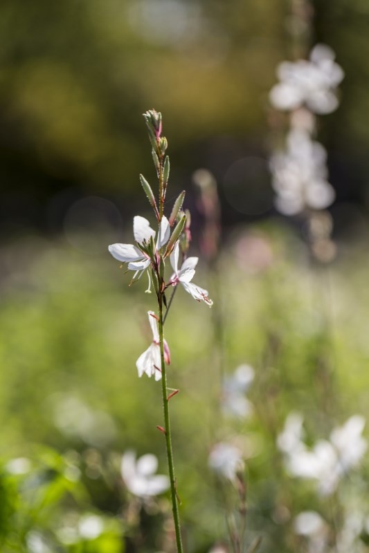Profilbild von Christina Frahm